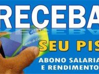 PIS 2013